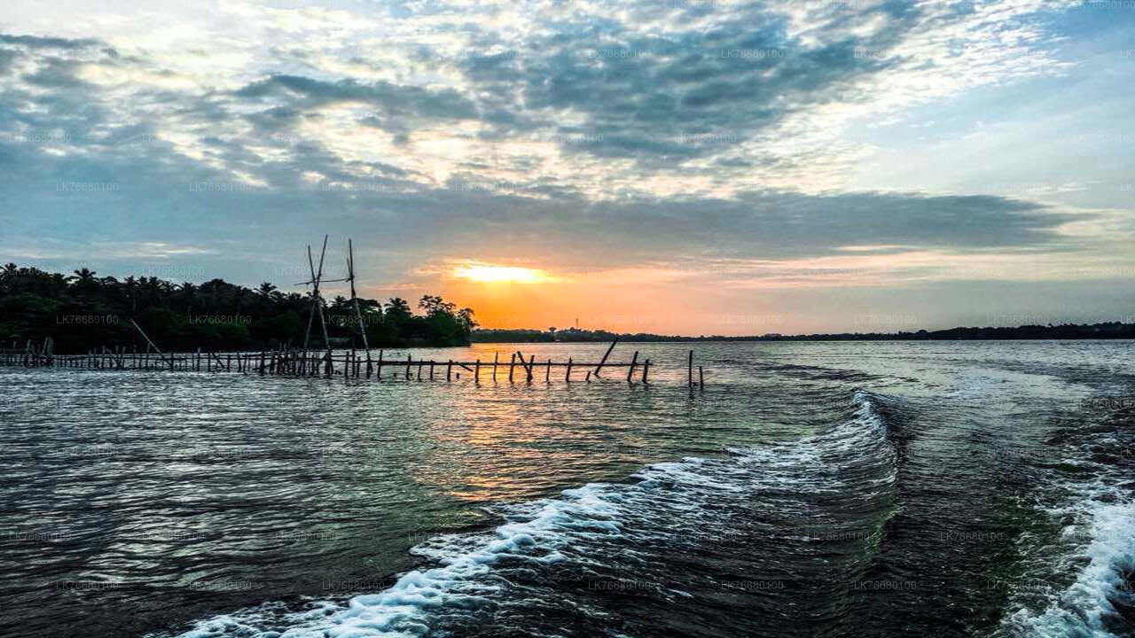 Bolgoda Lake